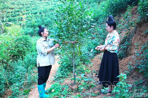 Na Son cụ thể hóa nghị quyết bằng việc làm thiết thực