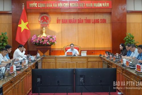 Triển khai nghị quyết về cơ chế chính sách đặc thù xử lý, khai thác nhà, đất dôi dư
