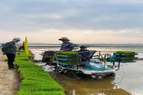 Nhận diện và đấu tranh với những quan điểm sai trái về kinh tế tập thể, hợp tác xã trong giai đoạn hiện nay