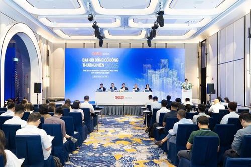 ĐHĐCĐ Hạ tầng Gelex (GEL) 2026: Chào bán 100 triệu cổ phiếu trả nợ dự án sân bay Gia Bình, ước lãi 6 tháng đạt 980 tỷ đồng