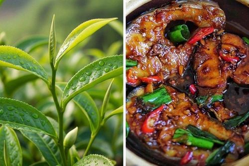 Kho cá đừng cho mỗi riềng, thêm nắm lá này cá nhừ xương, chắc thịt, khử sạch mùi tanh