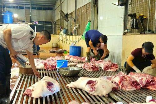 Kiểm tra đột xuất hoạt động giết mổ động vật tại các xã Trần Phú, Bình Minh và phường Chương Mỹ