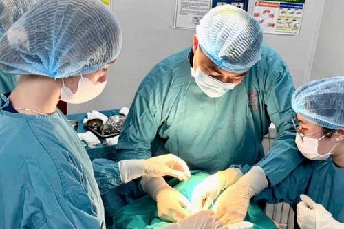Nhiều kỳ vọng mới cho người bệnh từ những cập nhật tiến bộ điều trị ung thư