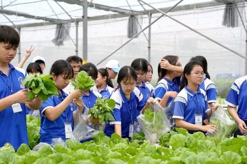 100 học sinh Thành phố Hồ Chí Minh khám phá nghề nông truyền thống, công nghệ cao