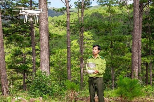 Tháo gỡ vướng mắc trong công tác quản lý rừng của Ủy ban nhân dân cấp xã, hướng tới quản trị rừng ổn định, tạo giá trị kinh tế lâu dài