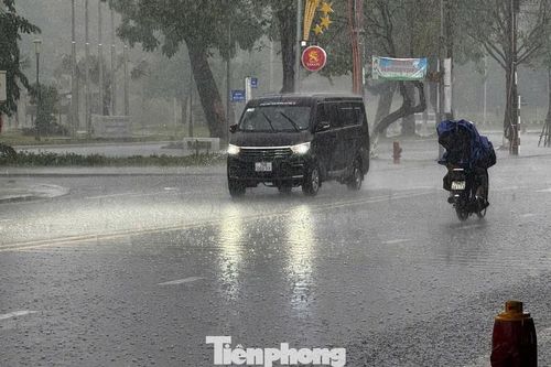 Quảng Ngãi đón 'mưa vàng giải nhiệt' sau chuỗi ngày nắng nóng gay gắt