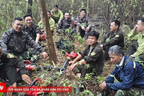 Thức trắng giữa biển lửa, giữ trọn màu xanh của rừng