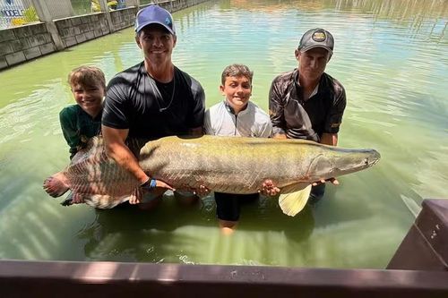 Bé trai câu được con cá khổng lồ nặng 130kg trong hồ