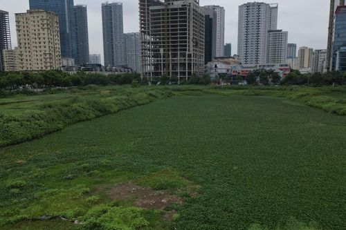 Hơn thập kỷ bỏ hoang, cỏ dại phủ kín công viên điều hòa khu đô thị Tây Nam Hà Nội