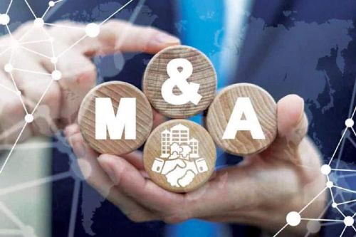 Doanh nghiệp Việt muốn lớn phải thay đổi tư duy và đẩy mạnh M&A