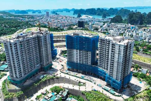 Quỹ Nhà ở tỉnh Quảng Ninh có vốn điều lệ ban đầu 500 tỷ đồng