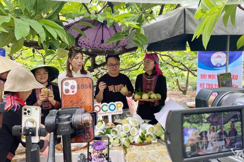 OCOP Thái Nguyên và bài toán nâng tầm giá trị nông sản địa phương