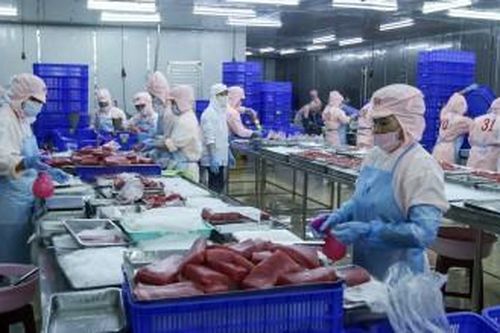 Gia hạn nộp thuế và tiền thuê đất trong năm 2026