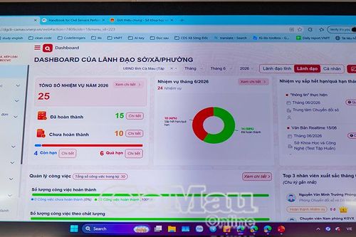 Cà Mau sẵn sàng vận hành phần mềm KPI