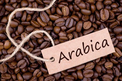Giá cà phê hôm nay 27/6/2026: Arabica hạ nhiệt