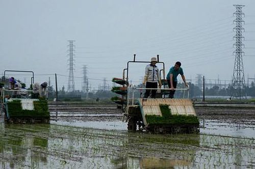 Chủ động ứng phó thời tiết cực đoan, bảo đảm vụ mùa thắng lợi