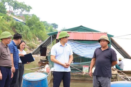 Mực nước sông Đà giảm đột ngột, hơn 73 tấn cá chết