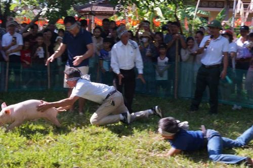 Cười nghiêng ngả màn 'bịt mắt bắt heo'