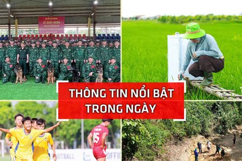 Nghệ An: Thông tin nổi bật ngày 28/6