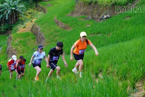 200 vận động viên tham dự Giải leo núi 'Chinh phục đỉnh Dìn Phàng'