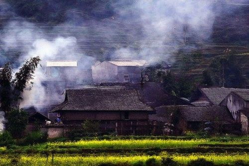Chùm thơ 'Gia đình' của Trần Phương Hồng Điểu