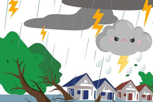 Số cơn bão có thể ảnh hưởng đất liền năm 2026