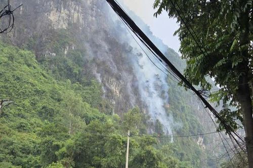 Sét đánh gây cháy rừng phòng hộ ở Ninh Bình, hơn 200 người căng mình dập lửa