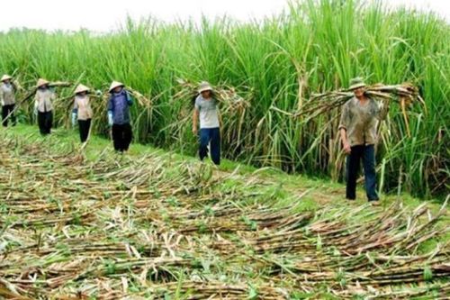 Gia hạn nộp thuế GTGT, TNDN, TNCN và tiền thuê đất