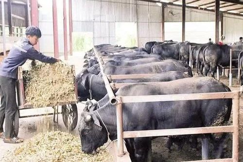 Nền tảng xây dựng nông thôn mới vùng khó khăn