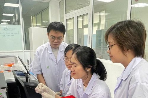 Nghệ trắng và triển vọng hỗ trợ điều trị ung thư dạ dày