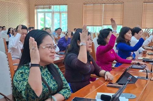 An Giang chuyển 9,4 ha rừng phòng hộ để xây cầu trên tuyến đường ven biển