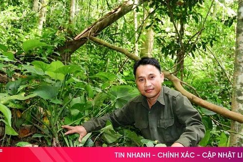 Hà Tĩnh nhận hơn 159 tỷ đồng từ nguồn chi trả giảm phát thải khí nhà kính