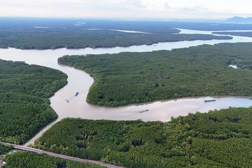 Triển khai dự án du lịch sinh thái đầu tiên tại rừng phòng hộ Cần Giờ