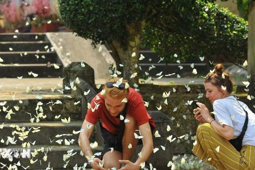 Lợi ích kép của mô hình 'Bảo tồn để phát triển' tại Vườn quốc gia Cúc Phương