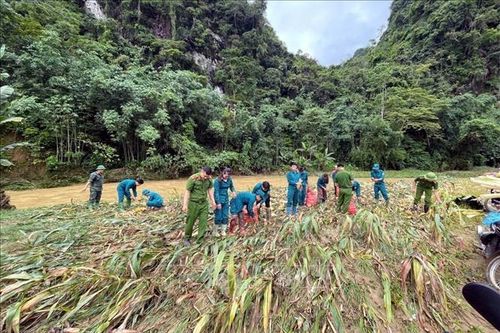 Mưa lớn gây lũ quét và sạt lở đất tại Tuyên Quang