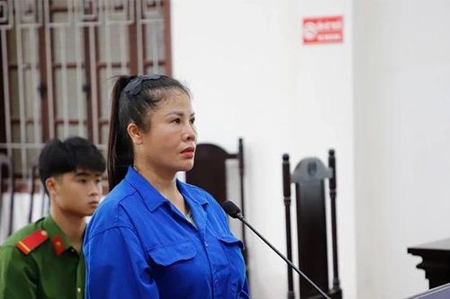 'Vẽ' dự án trồng sâm để lừa đảo tiền tỷ, nữ bị cáo trả giá bằng bản án hơn 12 năm tù