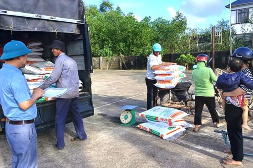 Khơi dậy nội lực, giảm nghèo bền vững