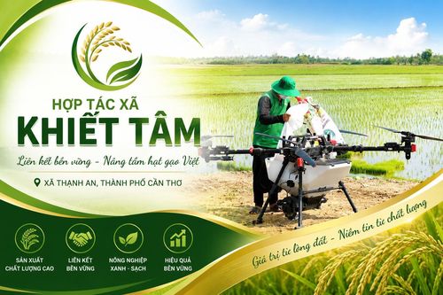 HTX Khiết Tâm: Từ cánh đồng liên kết đến danh hiệu Ngôi sao Hợp tác xã 2026
