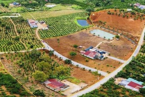 Thanh tra chỉ ra nhiều tồn tại trong công tác lập quy hoạch sử dụng đất tại huyện Lâm Hà cũ