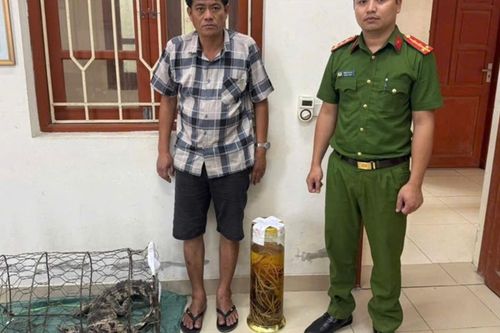 Khởi tố Bùi Ngọc Tài do tàng trữ rượu ngâm tay gấu