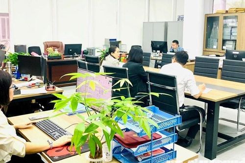 Quy định mới về vị trí việc làm viên chức áp dụng từ 1.7