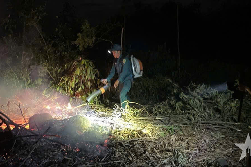 Lực lượng vũ trang tỉnh Quảng Ngãi kịp thời phối hợp dập tắt cháy rừng trong đêm