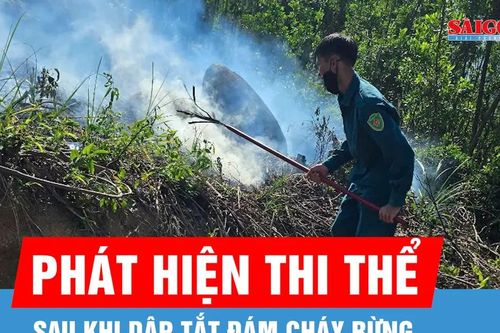 Phát hiện thi thể người đàn ông sau khi dập tắt đám cháy rừng