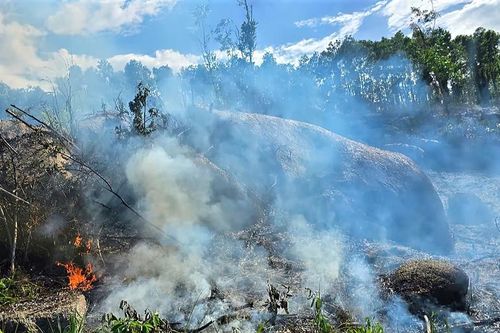 Phát hiện thi thể người đàn ông sau khi khống chế đám cháy rừng ở Đà Nẵng