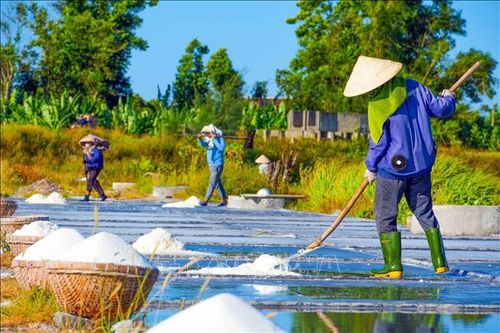 Nghề muối Châu Hạ trước thách thức thu nhập và đầu ra