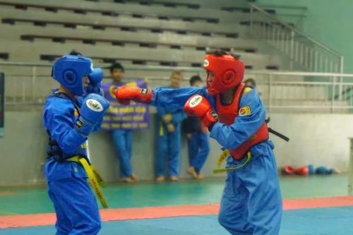 Hơn 160 VĐV tranh tài môn Vovinam tại Đại hội TDTD tỉnh Gia Lai