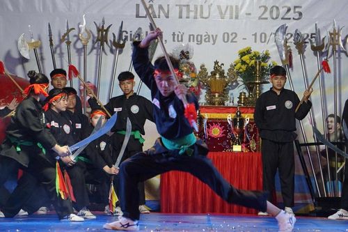 Gia Lai: Hơn 700 võ sinh sẽ tranh tài tại Giải Võ cổ truyền Cúp Hoàng đế Quang Trung VIII
