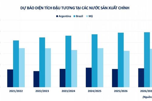 Triển vọng phục hồi của giá đậu tương tiếp tục chịu sức ép
