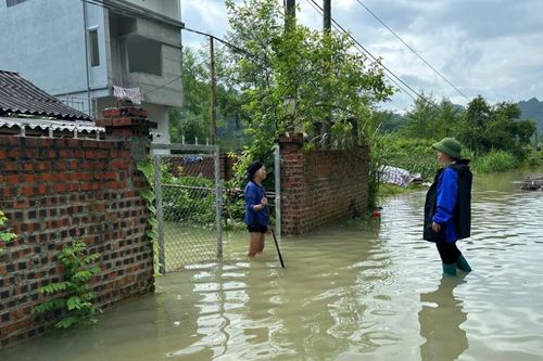 36 hộ dân xã Thông Nông bị ngập úng do mưa lớn