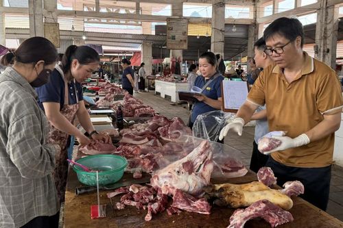 Giám sát chất lượng an toàn thực phẩm nông, lâm, thủy sản năm 2026